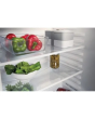 Indesit ILA1 Built-Under Fridge